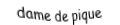 Je suis une carte à jouer. Je viens directement avant le roi, je suis noir mais pas de trefle.